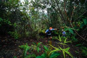 BIB: 
                            <button type="button" onclick="openModal(26196429)" class="btn btn-primary btn-sm float-right btn-popup" data-toggle="modal" data-target=".modal-high-quality">
                        <i class="fas fa-shopping-cart"></i> Add to Cart
                    </button>
                                            <button type="button" onclick="isThisMe(26196429, true)" class="btn btn-success btn-sm float-right btn-popup btn-isme hidden" data-toggle="tooltip" data-placement="bottom" title="นี่คือรูปของคุณใช่ไหม คลิกที่นี่เพื่อเอาเข้าอัลบั้ม">
                        <i class="fas fa-plus"></i> Add to album
                    </button>
                    <button type="button" onclick="isThisMe(26196429, false)" class="btn btn-warning btn-sm float-right btn-popup btn-isnotme hidden">
                        <i class="fas fa-ban"></i> Remove from album
                    </button>